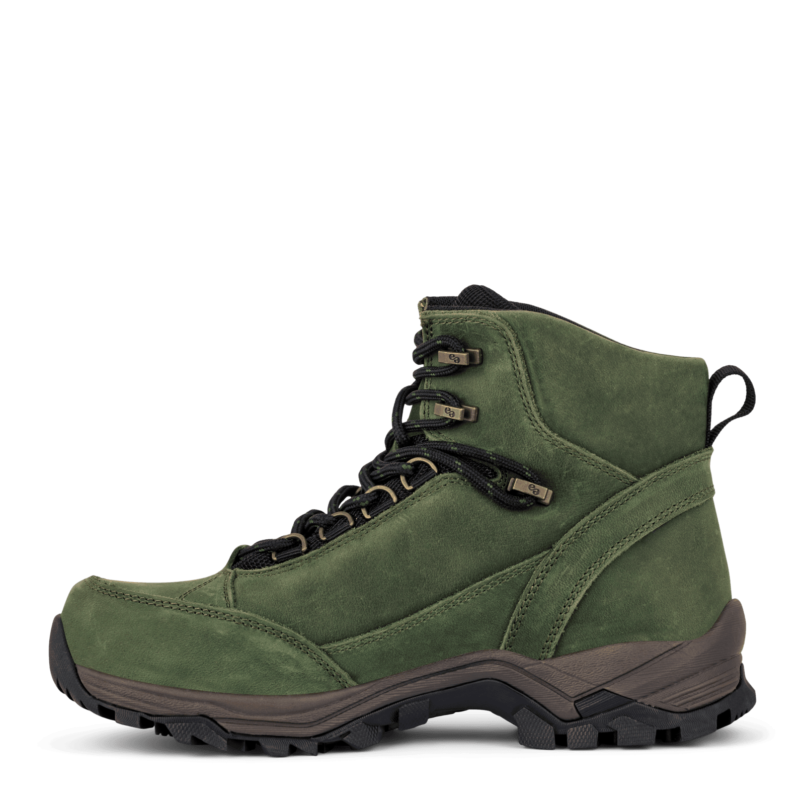 NORTH NORA - FORREST GREEN